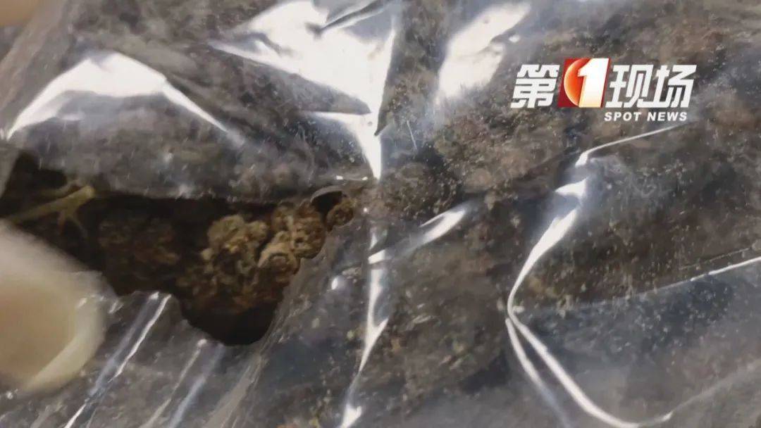 地毯材质用料 地毯等级分类有哪些？